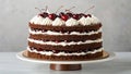 Four-layer Black Forest cake from Germany Royalty Free Stock Photo