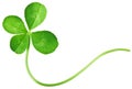 Four Leaf Clover Royalty Free Stock Photo