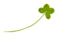 Four leaf clover