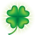 Four Leaf Clover