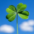 A four leaf clover against a blue sky with clouds Royalty Free Stock Photo