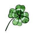 Four leaf clover clip art