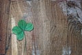 Four leaf clover clover for good luck on the background of old wooden planks. Cold tone