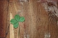 Four leaf clover clover for good luck on the background of old wooden planks. Warm tone