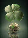 Four leaf clover with golden coins