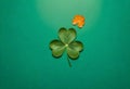 four leaf clover on green background Royalty Free Stock Photo