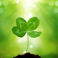 Four leaf clover on green background