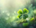 Four leaf clover on green blurred background with copy space. St Patrick day background Royalty Free Stock Photo