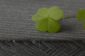 Four-leaf clover covers stone with stripes, close up Royalty Free Stock Photo