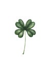 Four leaf clover. Green watercolor leave isolated on white background. Patricks Day design element