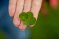 Four leaf clover held in hand Royalty Free Stock Photo