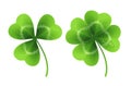 Four leaf clover isolated on white. Vector illustration