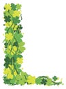 Four Leaf Clover Leaf Border Illustration