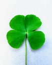 Four Leaf Clover Of Love Hope Faith And Luck