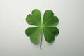 Four Leaf Clover Royalty Free Stock Photo