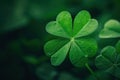 Four leaf clover for St. Patrick's Day. Generative AI Royalty Free Stock Photo