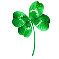 Four-leaf clover. St. Patrick's Day. Watercolor illustration. Isolated on a white background.