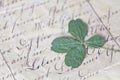 Four Leaf Clover On Vinage Letter Royalty Free Stock Photo