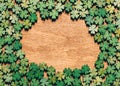 Four-leaf clovers laying on wooden floor