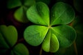 Four-leaf green clover for good luck on St. Patrick's Day, bright green background. Copy space. Generative Ai Royalty Free Stock Photo