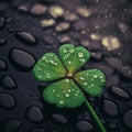 Four-leaf green clover with raindrops, dew on dark background with water drops. Green four-leaf clover symbol of St. Patrick Royalty Free Stock Photo