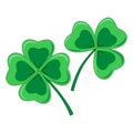 Four leaf Lucky Clover, st Patrick's Day symbol Royalty Free Stock Photo