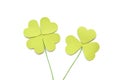Four leaf and three leaf clover paper cut on white background Royalty Free Stock Photo