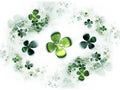 Four leafed clovers, shamrock