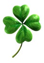 Four leafed shamrock