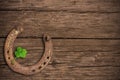 Four-leaved clover and a horse shoe Royalty Free Stock Photo