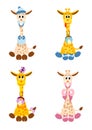 Four little giraffes like newborn babies