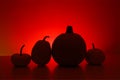 Four little pumpkins black silhouettes stands on surface in dark, highlighted red. Halloween or Thanksgiving Day background. Royalty Free Stock Photo