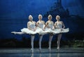 Four Little Swan Dance Royalty Free Stock Photo