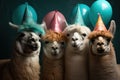 Four llamas wearing party hats Royalty Free Stock Photo
