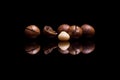 Four macadamia nuts on black background