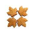 Four maple sugar candies Royalty Free Stock Photo