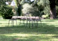 Four metal chairs standing on grass for people to relax in forest