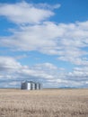 Four Metal Grain Silos in a Field