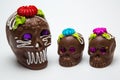 Four Mexican Calaverita de azucar Candy Skull and Calaverita de Chocolate,