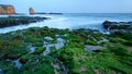 Four Mile Beach, California Royalty Free Stock Photo