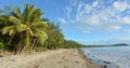 Four Mile Beach in Port Douglas Queensland, Australia. Royalty Free Stock Photo