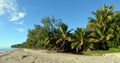 Four Mile Beach in Port Douglas Queensland, Australia. Royalty Free Stock Photo