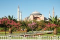 Four minaret mosque Royalty Free Stock Photo