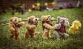 Four miniature homemade teddy bears carrying a daffodil in the garden Royalty Free Stock Photo