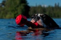 Four months puppy of Old English Bulldog swim and play Royalty Free Stock Photo