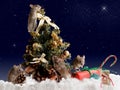 Four mouse decorates the Christmas tree by night on background starry sky Royalty Free Stock Photo