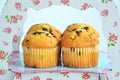 Four muffins with chocolate on the stand Royalty Free Stock Photo