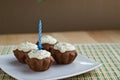 Four muffins with one candle Royalty Free Stock Photo