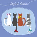 Four multi-colored cats sit back Royalty Free Stock Photo