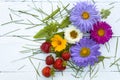 Four multi-colored chrysanthemums, yellow flower and red strawberries green grass on a white table